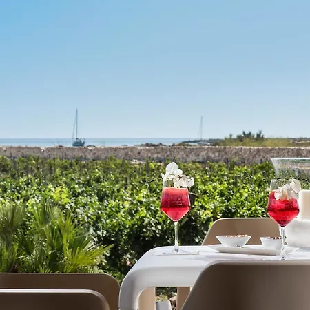Calamoni Di & Wine Experience *